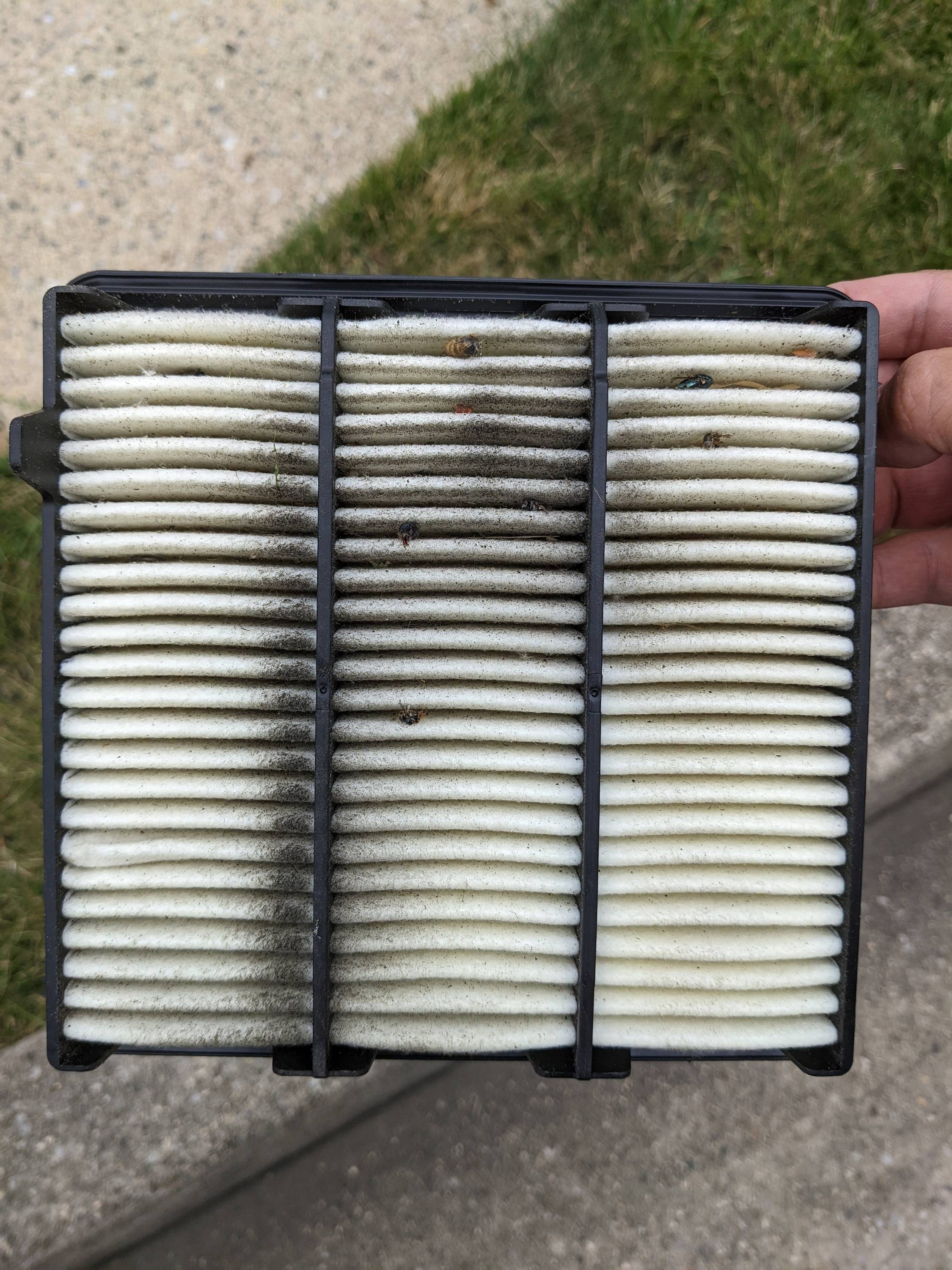 11th Gen Honda Civic Sprint P08 air filter, and PRL silicon intake hose installed. lJ14kKF