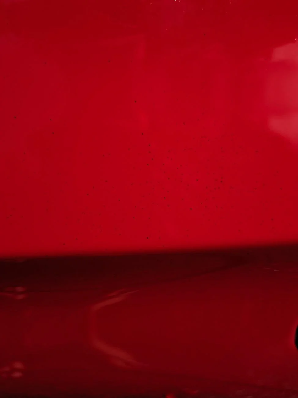 11th Gen Honda Civic New 24 CTR Factory Paint Defect? paint