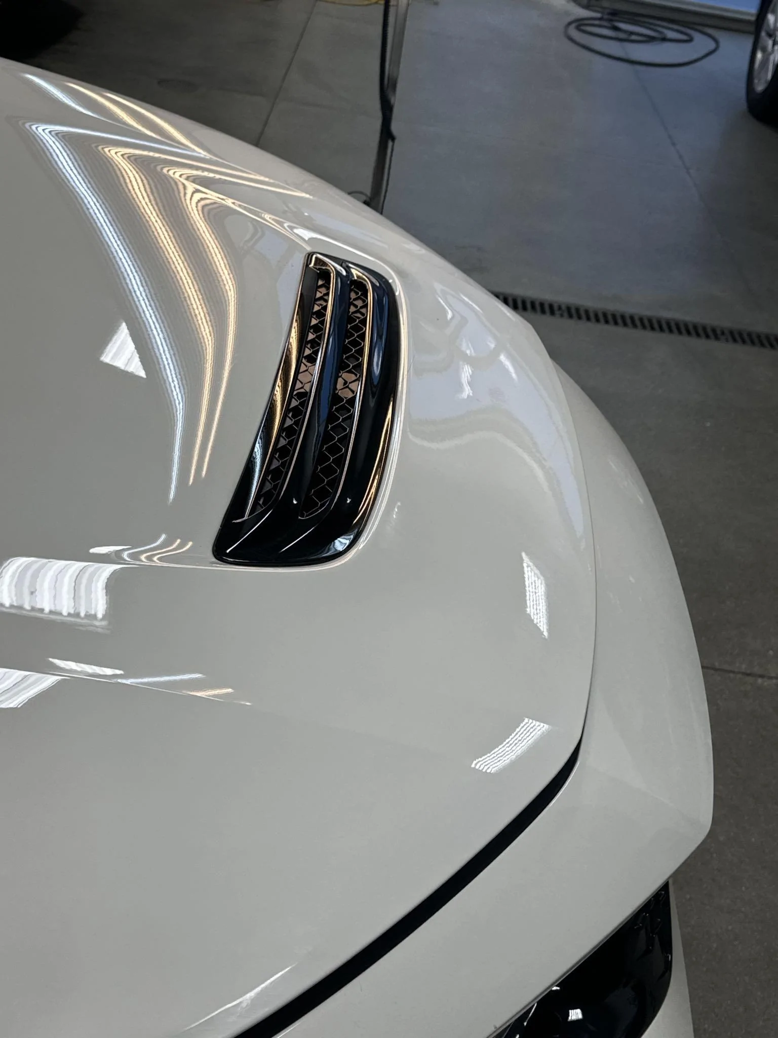 11th Gen Honda Civic Looking for assistance after collision with a deer. Photo 05