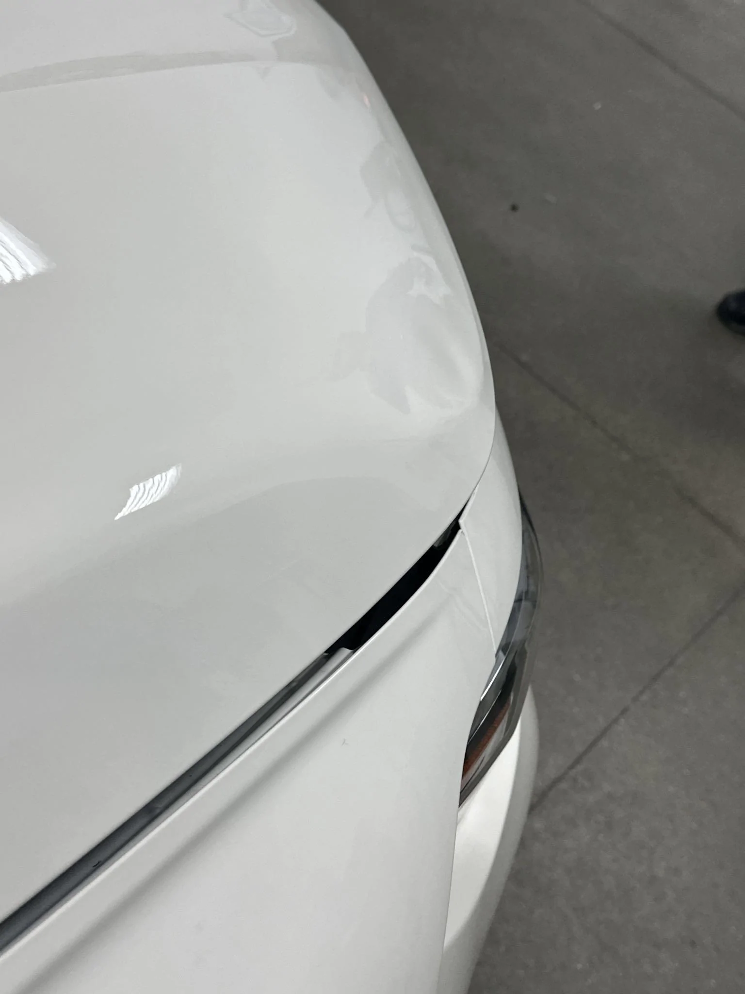 11th Gen Honda Civic Looking for assistance after collision with a deer. Photo 06