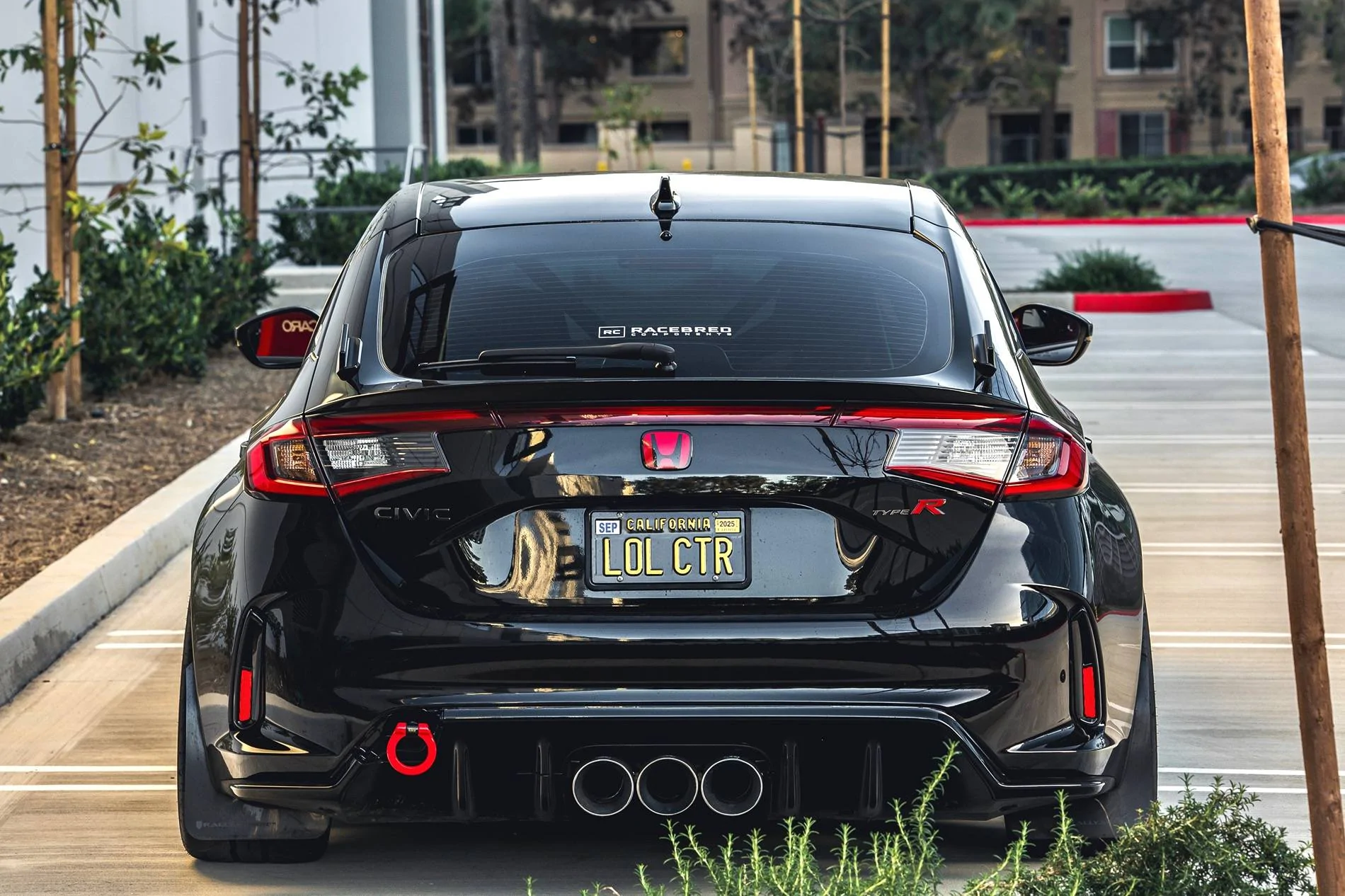 Photo Feb 06 2025, 4 32 26 AM.webp