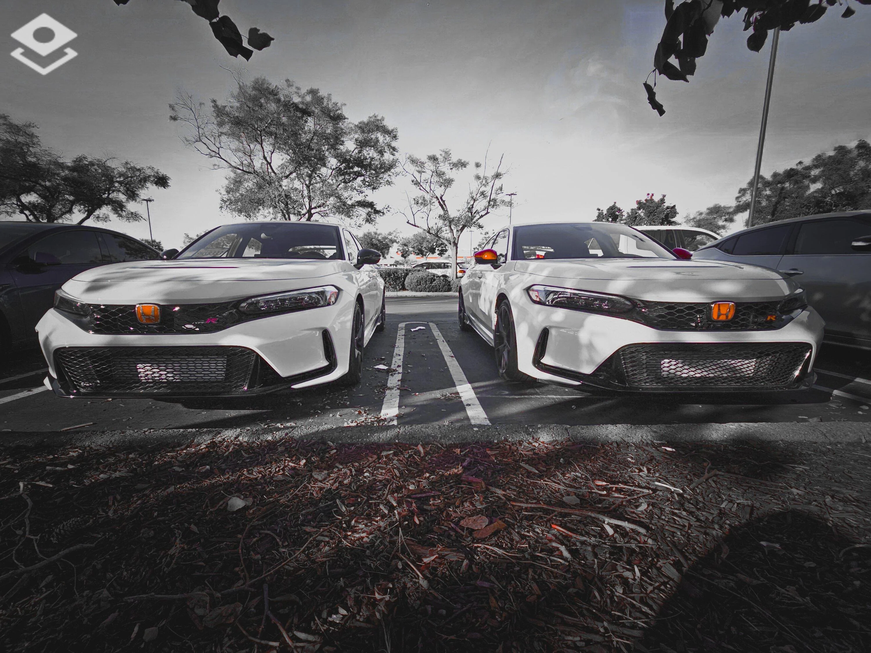 11th Gen Honda Civic Official CHAMPIONSHIP WHITE FL5 Type R Photos Thread PSX_20231119_153144