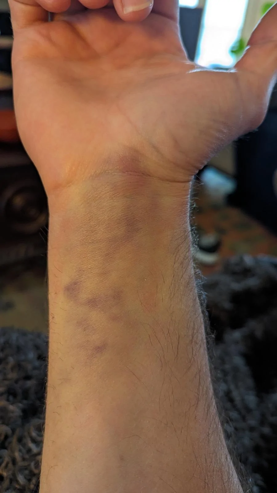 11th Gen Honda Civic PointByPatrol #21985 Build Journal! RIP #9243 PXL_20240323_222654952.MP