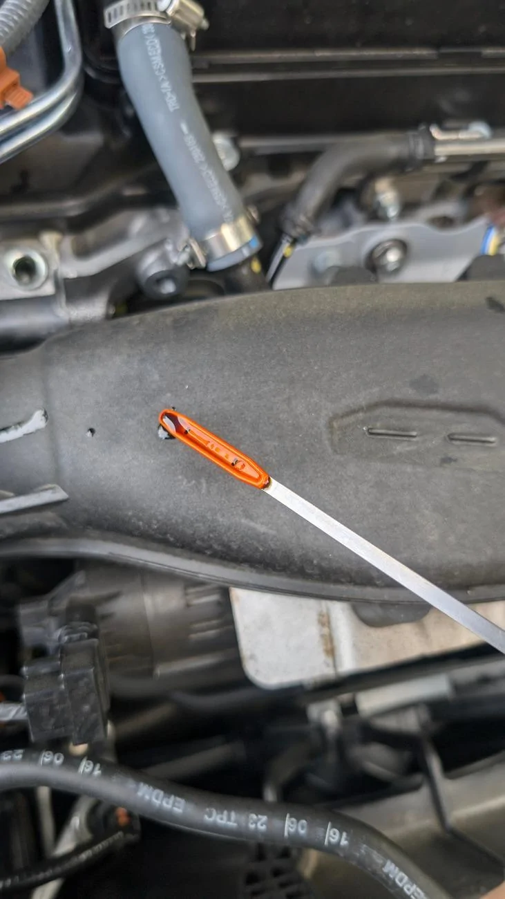 11th Gen Honda Civic 1.5t high oil level am I being paranoid? PXL_20240814_134247234