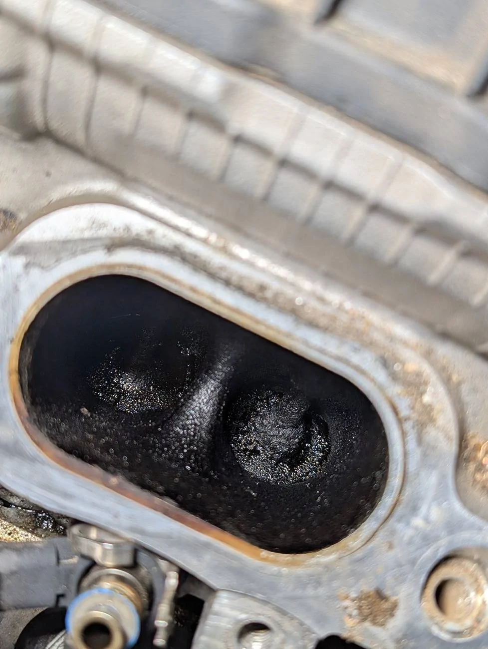11th Gen Honda Civic *The FL5 Track Junkie Thread* PXL_20241115_152711606