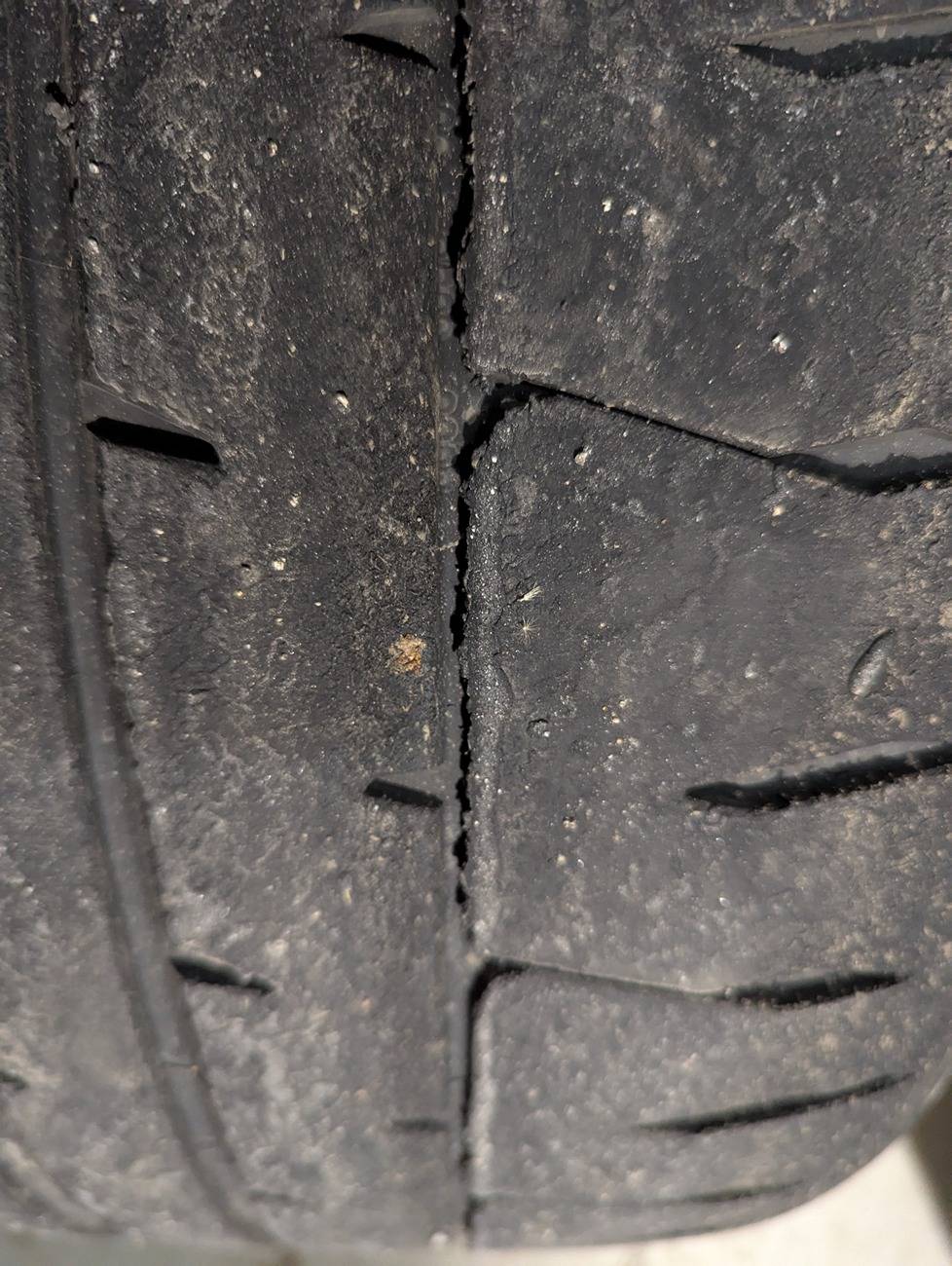 11th Gen Honda Civic CIVICXI *NOVICE* Track Thread! PXL_20250205_004047154