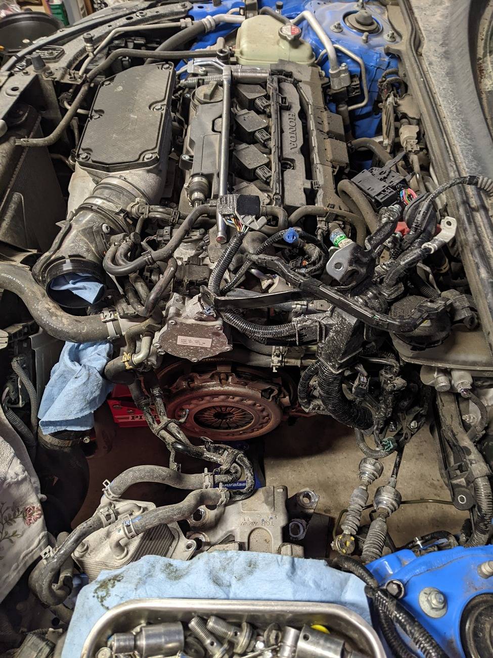 11th Gen Honda Civic Got carried away bidding at a salvage auction PXL_20250326_122655888