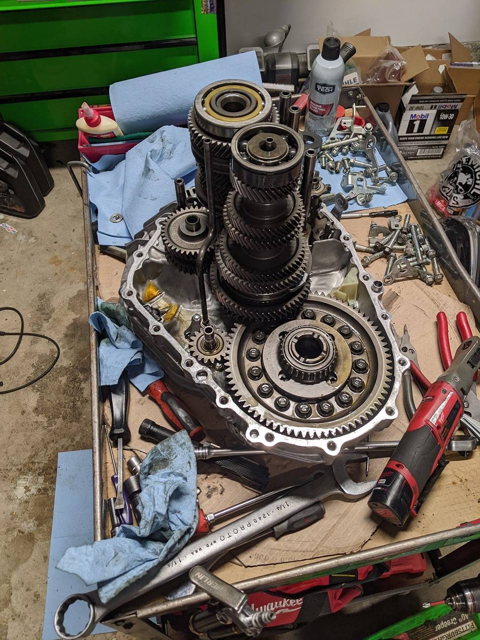 11th Gen Honda Civic Got carried away bidding at a salvage auction PXL_20250327_131207848