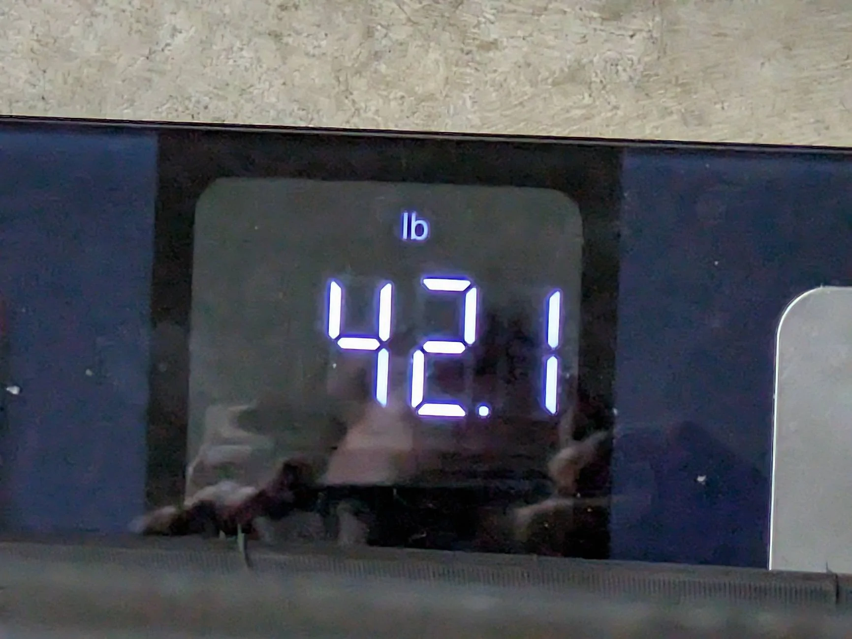 11th Gen Honda Civic What did you do to your FL5 today? PXL_20250712_230251443