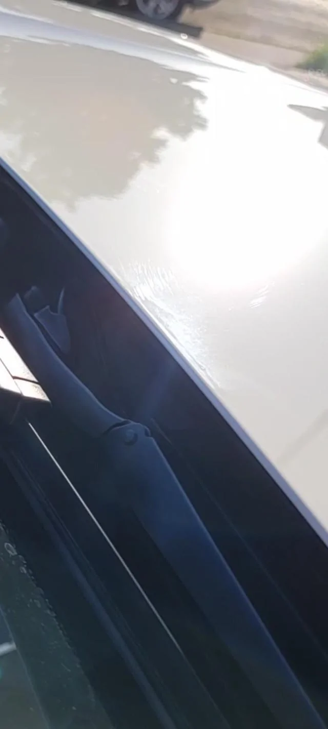 11th Gen Honda Civic Paint issues Screenshot-20240526-235138-Gallery