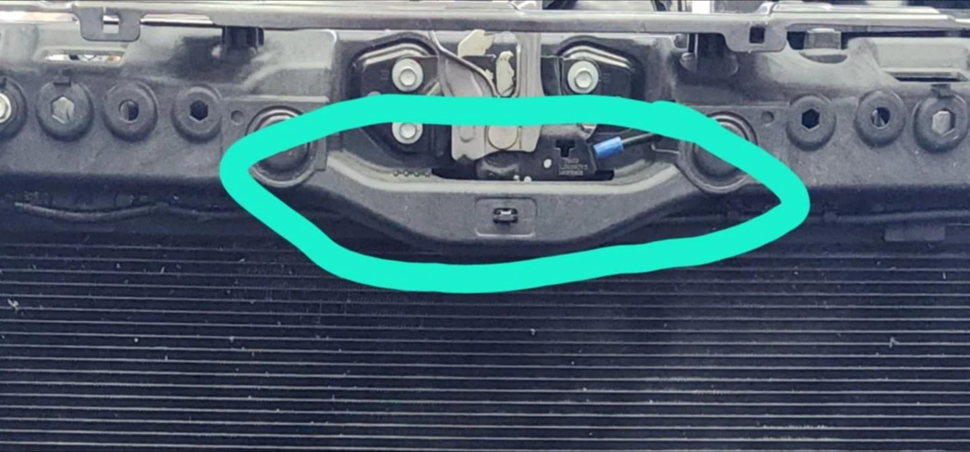 11th Gen Honda Civic Big willow track days and temp issues Screenshot_20240629_054047_Photos