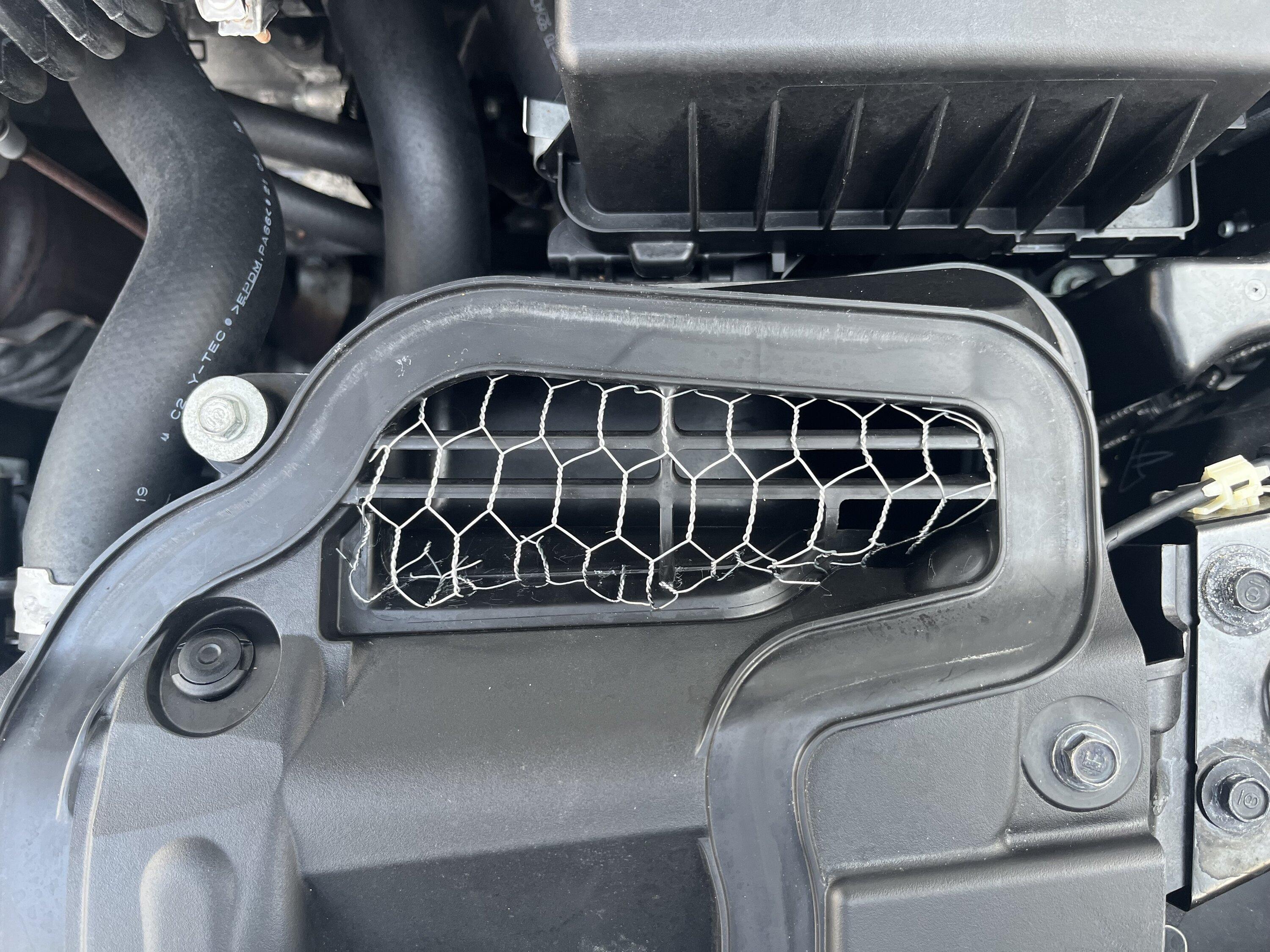 11th Gen Honda Civic Nuts in my air box !!! Today