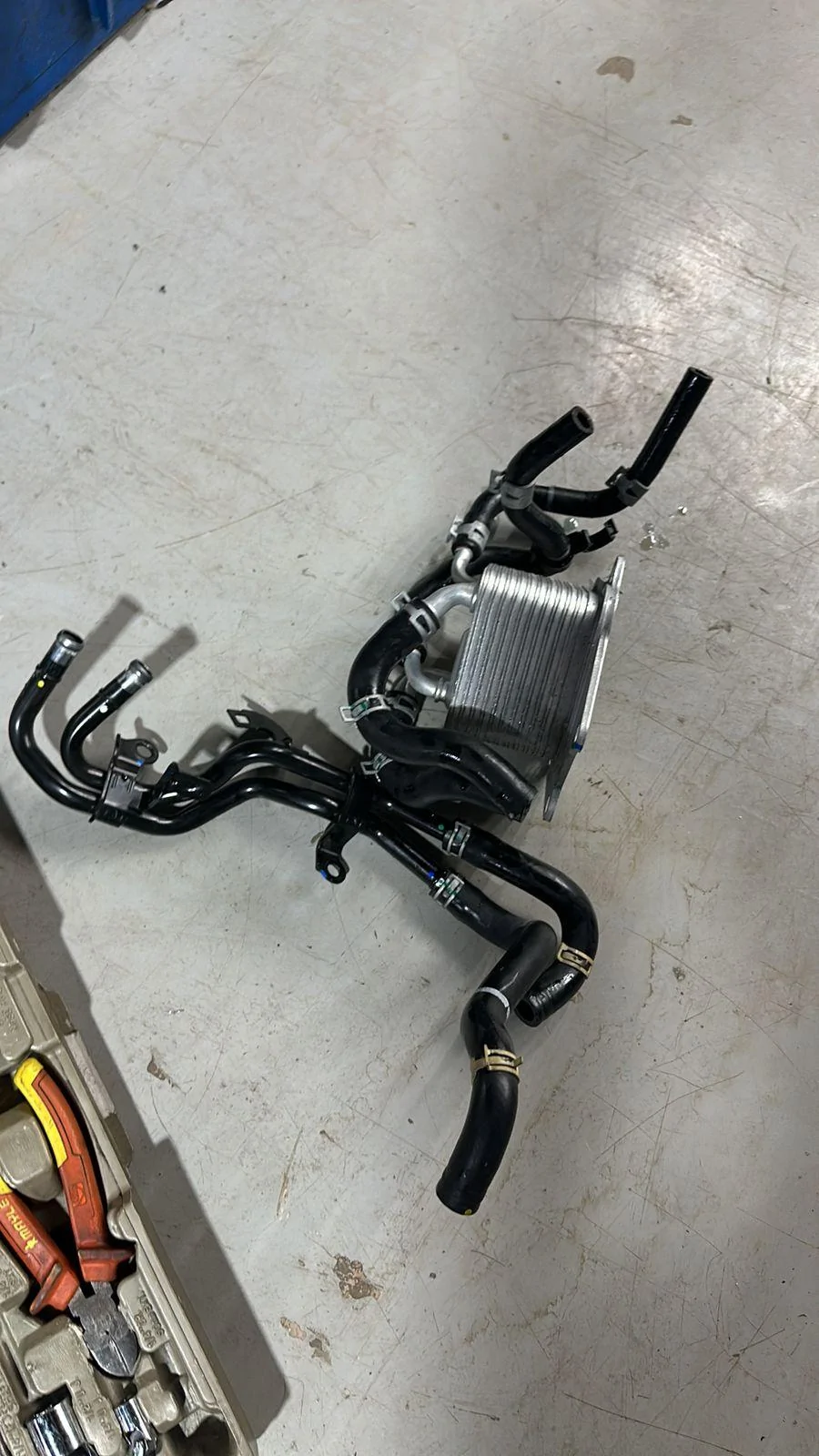 11th Gen Honda Civic Vito.FL5 Oil to Air transmission cooler install WhatsApp Image 2024-02-12 at 22.22.24